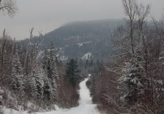 Bolger Lake Mountain