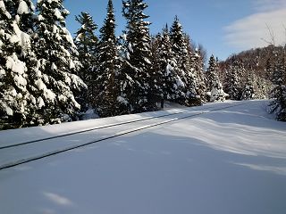 Snowmobiling in November