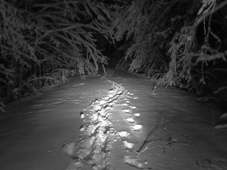 Early Season Snowmobiling in Algoma